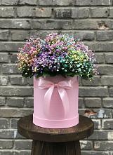Цветочная композиция из Гипсофила и Розы в шляпной коробке в Поселок санатория имени Герцена