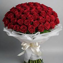 Букет 101 Красная роза Блэк Мэджик в Поселок санатория имени Герцена