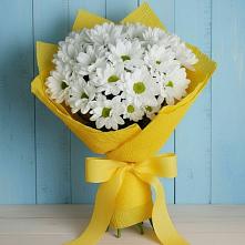 Букет цветов из:  Хризантемы в Поселок санатория имени Герцена