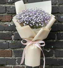 Букет цветов из:  Гипсофила в Поселок санатория имени Герцена