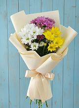 Букет цветов из:  Хризантемы в Поселок санатория имени Герцена