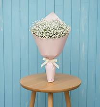 Букет цветов из:  Гипсофила в Поселок санатория имени Герцена