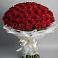 Букет 101 Красная роза Блэк Мэджик в Поселок санатория имени Герцена