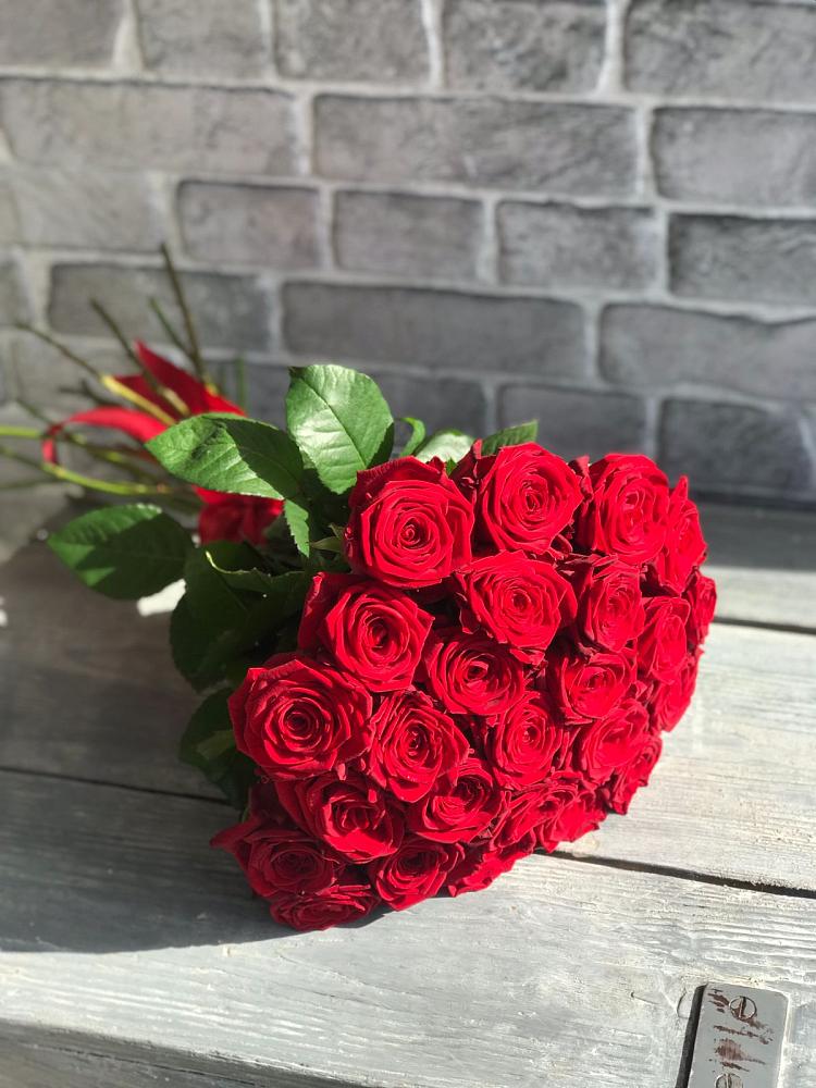 Букет Красные розы Фридом в Поселок санатория имени Герцена