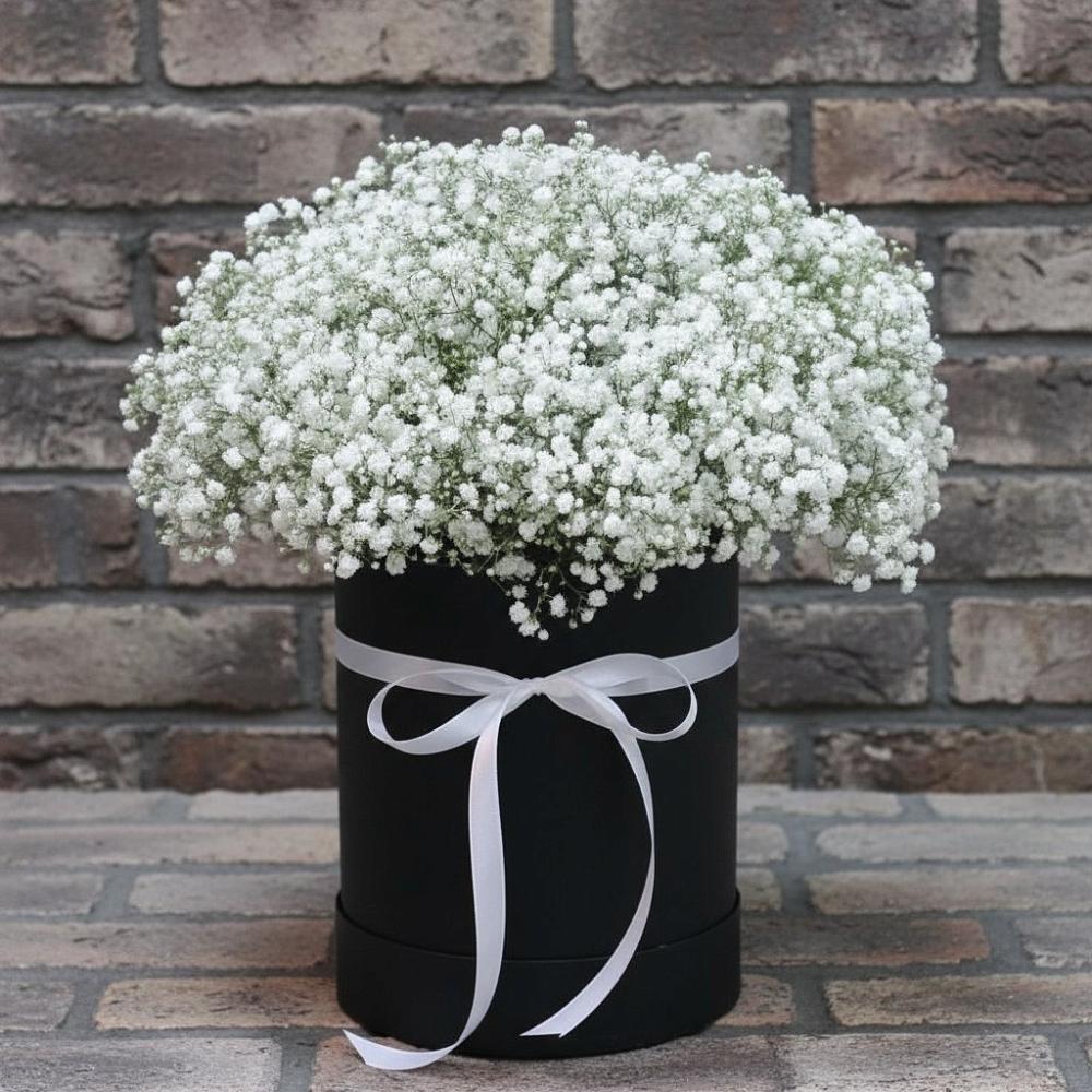 Цветочная композиция из Гипсофила в шляпной коробке в Поселок санатория имени Герцена