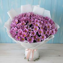 Букет цветов из:  Хризантемы в Поселок санатория имени Герцена
