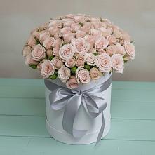 Цветочная композиция из Розы в шляпной коробке в Поселок санатория имени Герцена