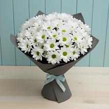 Букет цветов из:  Хризантемы #REPLACE_PRED# Поселок санатория имени Герцена