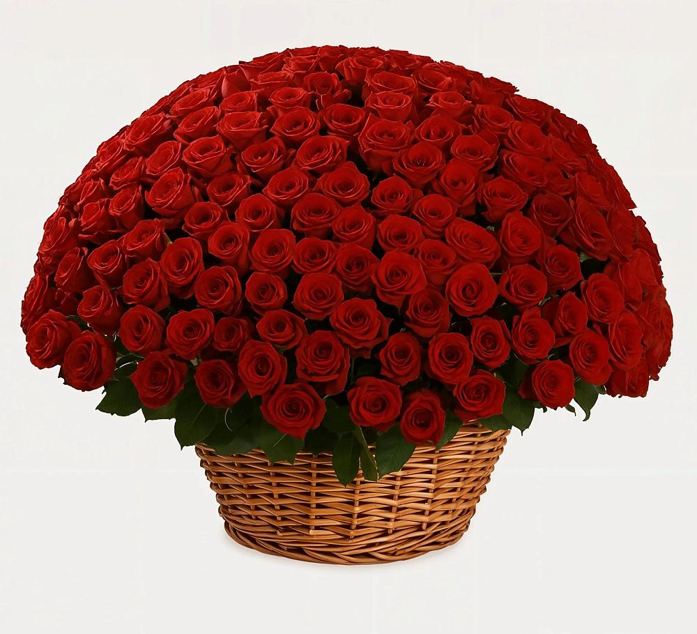 Премиум букет из: Розы в Поселок санатория имени Герцена