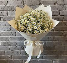 Букет цветов из:  Ромашки в Поселок санатория имени Герцена