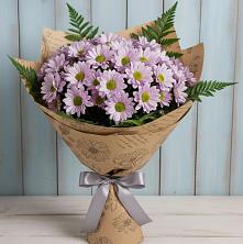 Букет цветов из:  Хризантемы в Поселок санатория имени Герцена