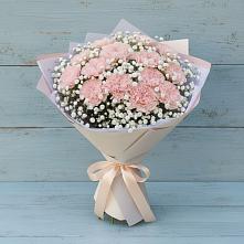 Букет цветов из:  Гвоздики в Поселок санатория имени Герцена