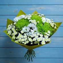 Букет цветов из:  Хризантемы в Поселок санатория имени Герцена