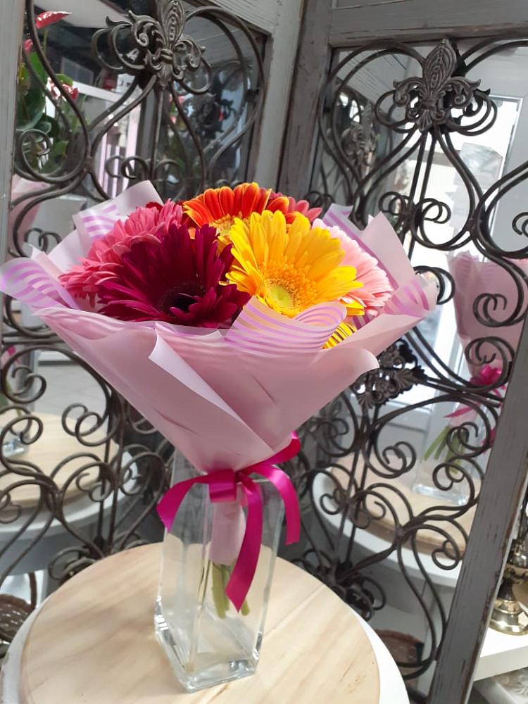 Букет цветов из: Герберы в Поселок санатория имени Герцена