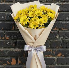 Букет цветов из:  Хризантемы в Поселок санатория имени Герцена