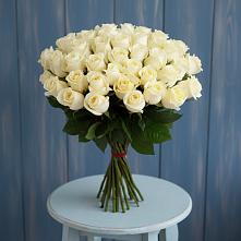 Букет 51 Белая роза Эдлесс Лав в Поселок санатория имени Герцена