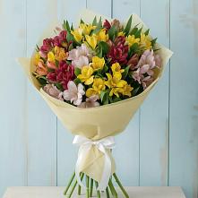 Букет цветов из:  Альстромерии в Поселок санатория имени Герцена