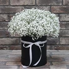 Цветочная композиция из Гипсофила в шляпной коробке в Поселок санатория имени Герцена