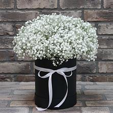 Цветочная композиция из Гипсофила в шляпной коробке в Поселок санатория имени Герцена