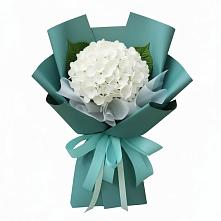 Букет цветов из:  Гортензия в Поселок санатория имени Герцена